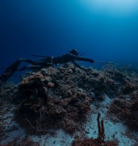 Mastering the Art of Stealth: Tips for Silent Approaches