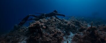 Mastering the Art of Stealth: Tips for Silent Approaches
