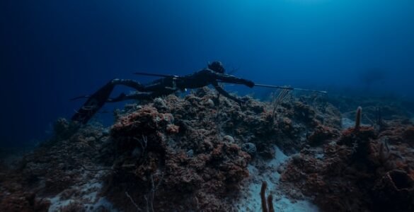 Mastering the Art of Stealth: Tips for Silent Approaches