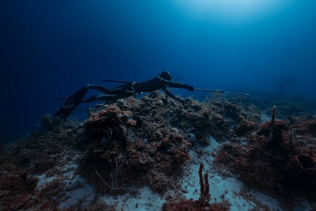 Mastering the Art of Stealth: Tips for Silent Approaches