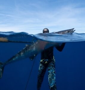 Target Selection Strategies: Finding the Right Fish