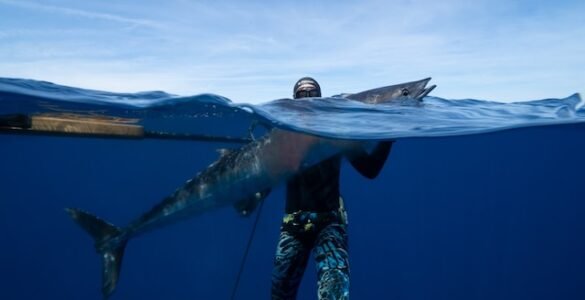 Target Selection Strategies: Finding the Right Fish