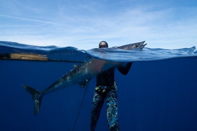 Target Selection Strategies: Finding the Right Fish