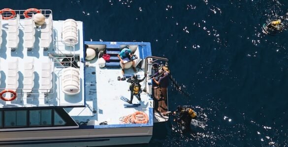Essential Accessories for Every Spearfishing Trip