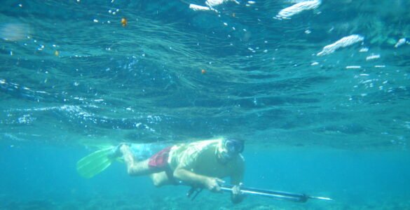 Spearfishing for Beginners: 10 Basic Steps