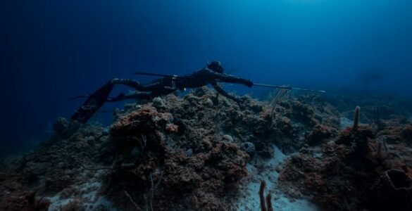 10 Spearfishing Techniques to Master