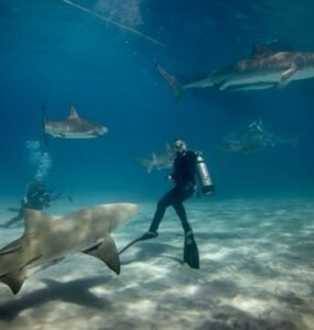 10 Tips for Spearfishing Safety: Dive In with Confidence