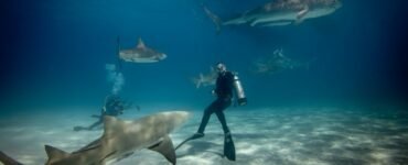 10 Tips for Spearfishing Safety: Dive In with Confidence
